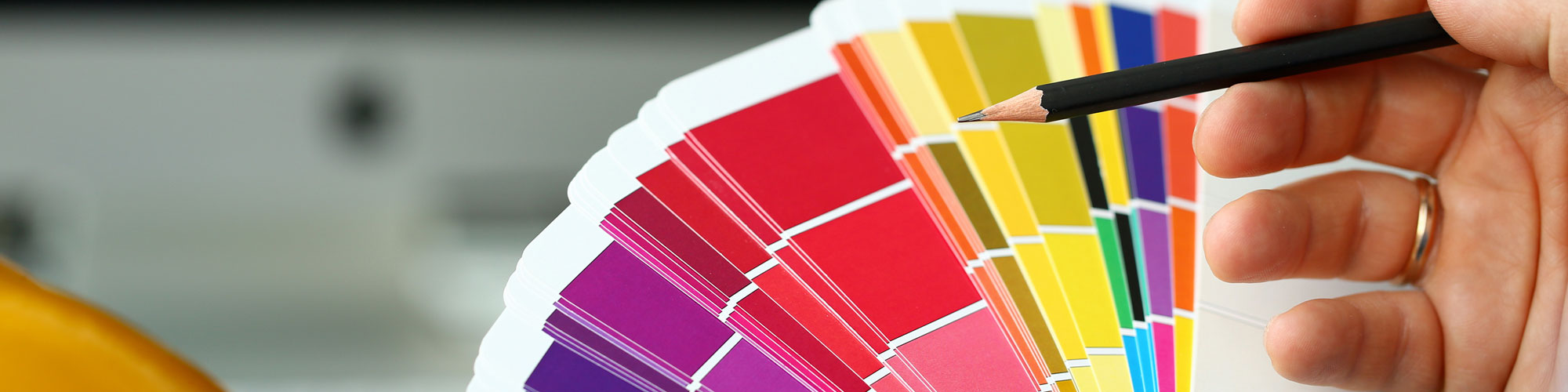 Looking Over Paint Swatches